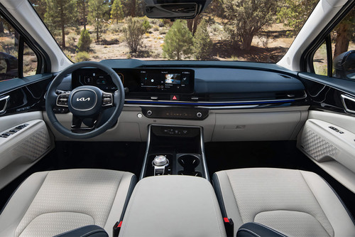 Dashboard View of Carnival