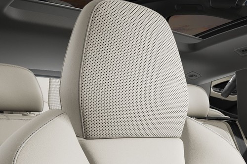 SQ6 E-Tron Front Seat Headrest