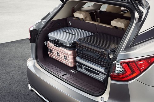 Storage Closer View of Lexus RX L