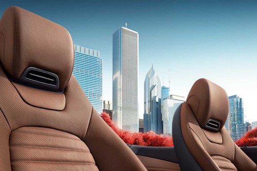 C-Class Cabriolet Front Seat Headrest