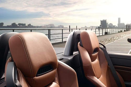 SLC-Class Front Seat Headrest