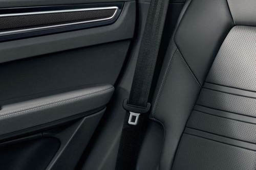 Cayenne  (2022-2024) Seat Belt