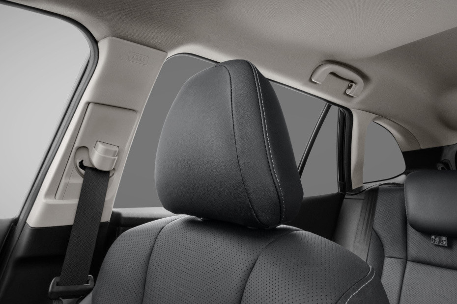 Outback Front Seat Headrest Outback Front Seat Headrest
