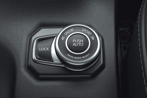 Suzuki Grand Vitara Drivers Side In Side Door Controls