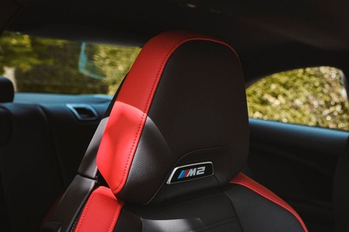 M2 Front Seat Headrest