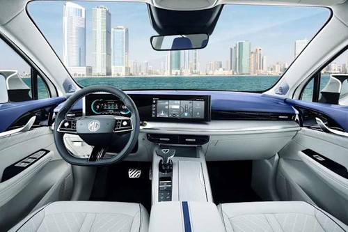 Dashboard View of Whale