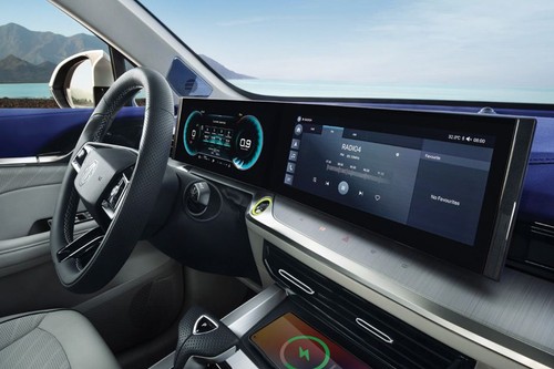 Stereo View of Whale