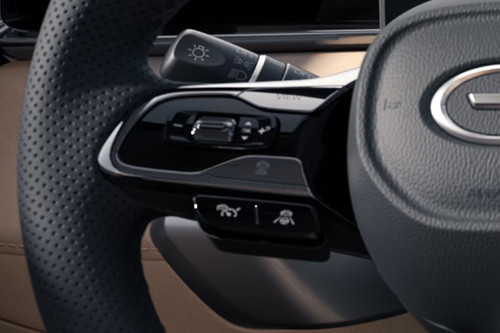 GAC GS4 Max Multi Function Steering