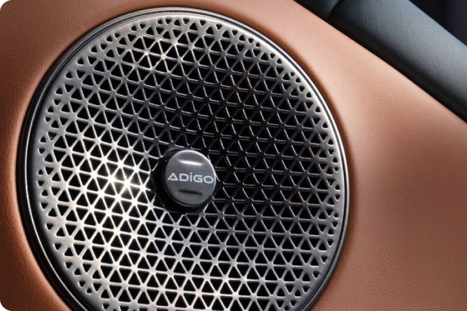 Speakers View of GAC Aion V Speakers View of GAC Aion V