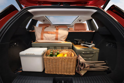 Storage Closer View of GAC Aion V