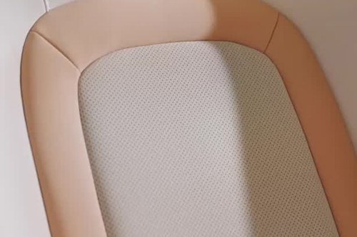 E30X Front Seat Headrest