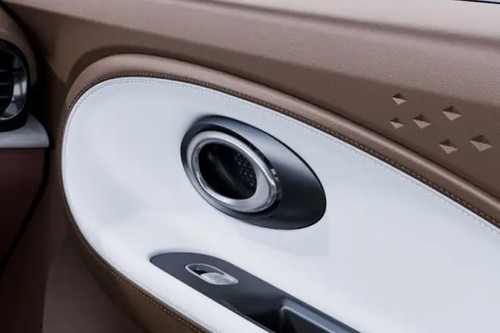 JAC E30X Inside Handle