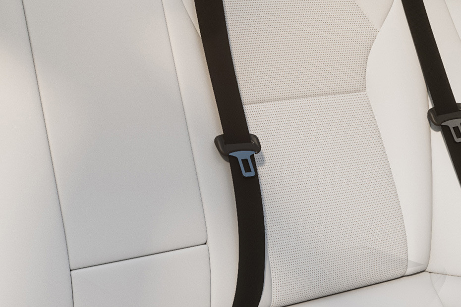 Model 3	 Seat Belt Model 3	 Seat Belt