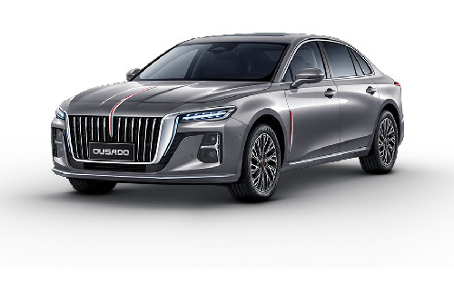 Quantum Silver Gray