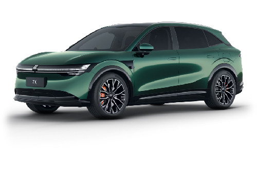 Forest Green Forest Green