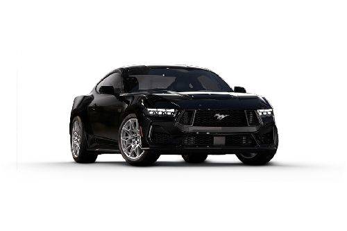 Shadow Black