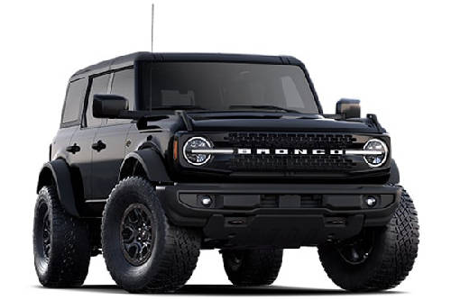 Shadow Black