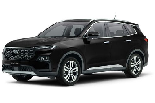 Panther Black