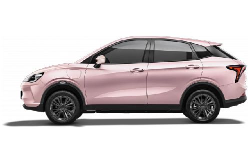 Pink Shell