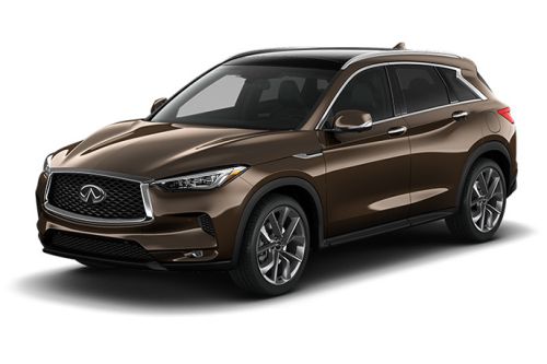 Chestnut Bronze