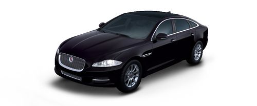 Black Amethyst Metallic