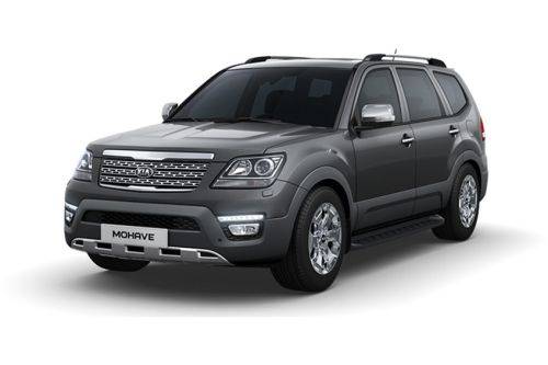 Platinium Graphite