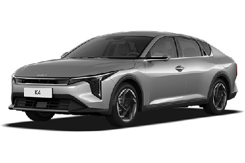 Steel Grey Metallic
