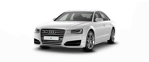 Ibis White