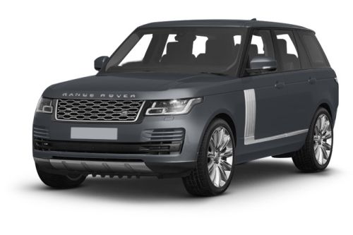 Carpathian Grey
