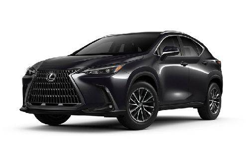Graphite Black