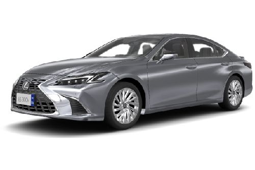 Silver Coast Metallic
