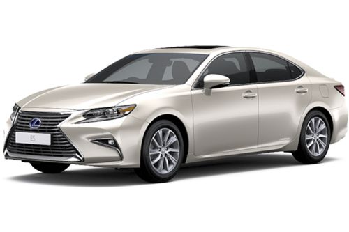 Sleek Ecru Metallic