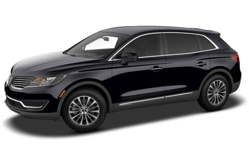 Black Velvet Metallic