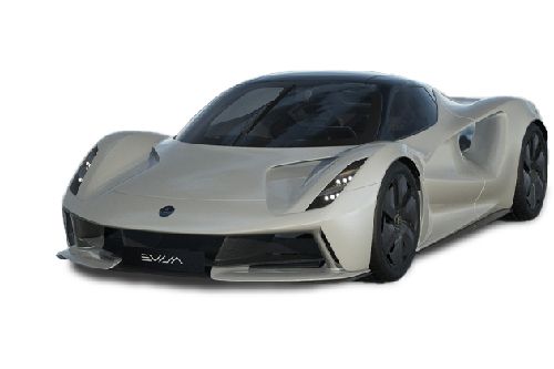 Arctic White