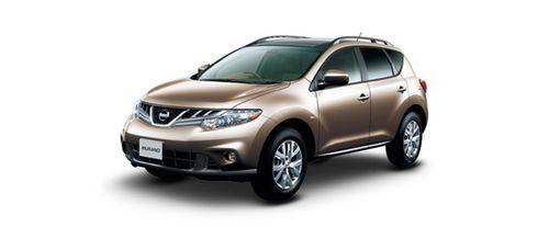 Grayish Bronze