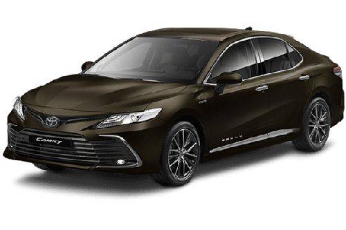 Graphite Metallic