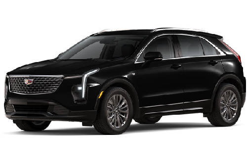 Stellar Black Metallic