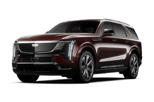 Black Cherry Tintcoat