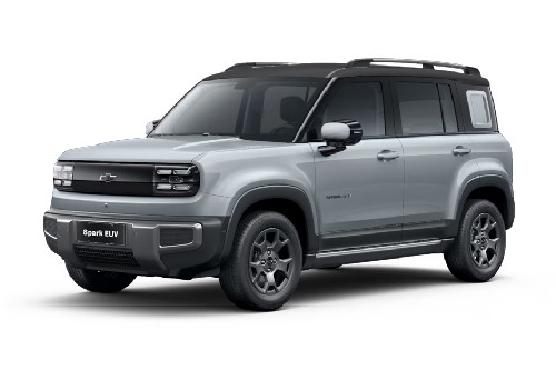 Gentle Gray with Star Twinkle Black Roof