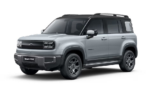 Gray Metallic