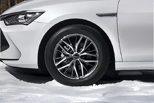 Qin Plus Wheel Qin Plus Wheel