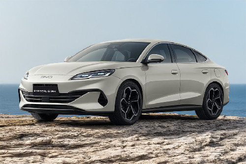 Seal 6 Front angle low view