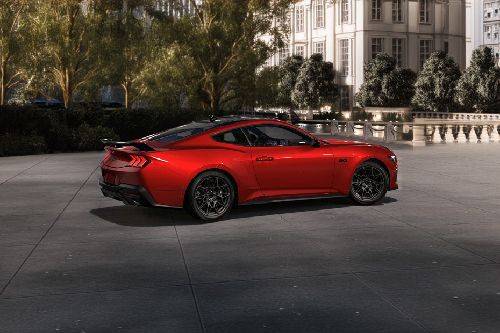 Mustang Rear Medium Side View