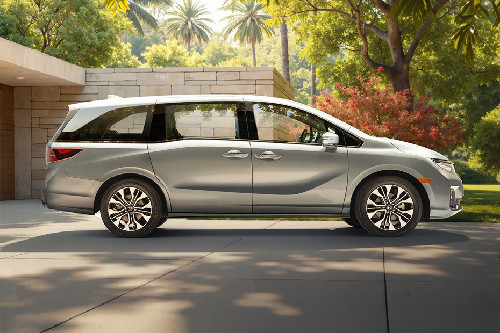 Odyssey Medium Angle Front View