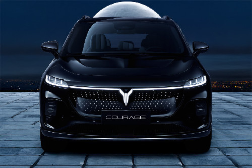 Full Front View of Courage