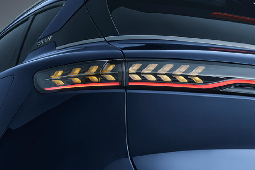 Free Tail light