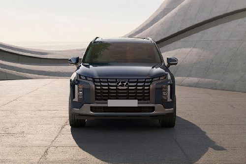 Full Front View of Palisade