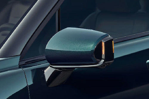 Palisade Door handle