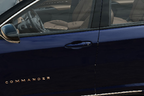 Commander Door handle