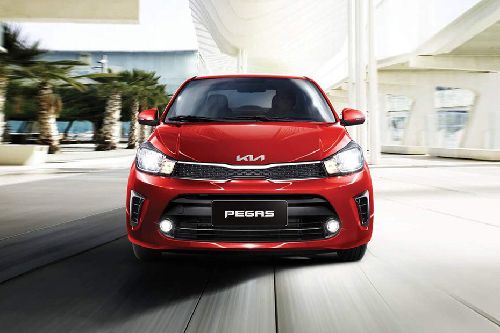 Full Front View of Pegas